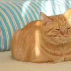 sdddddd