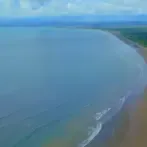 Video JW