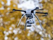 Autumn_Drone_(cropped)