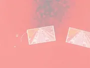 Video JW