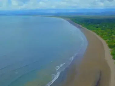 Video JW