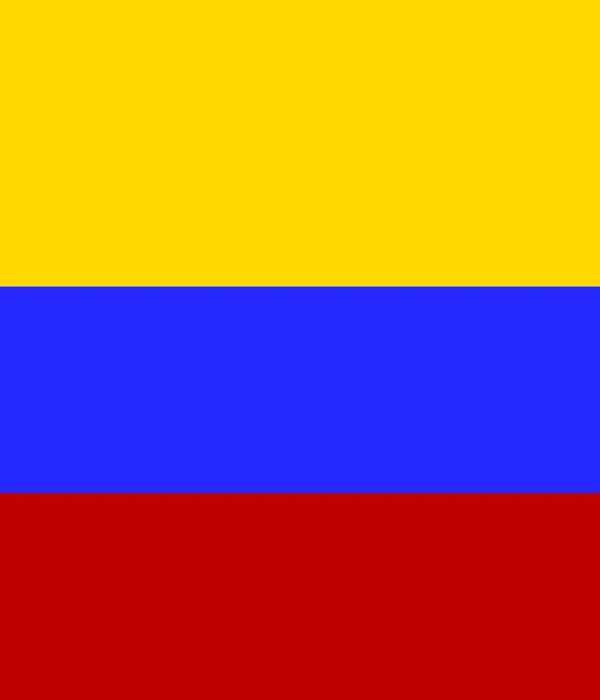 elecciones 2026