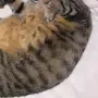 aaaaaaaaaa