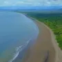 Video JW