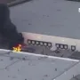 Video JW
